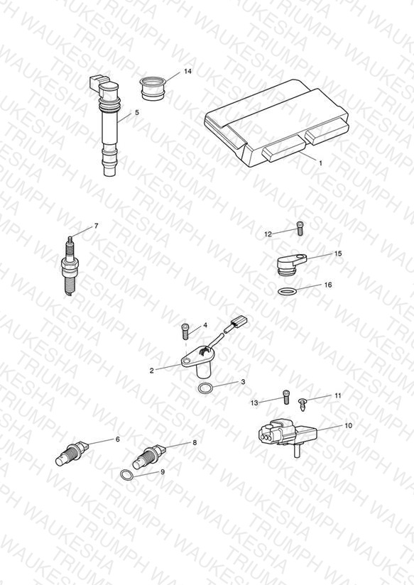 Engine Management System