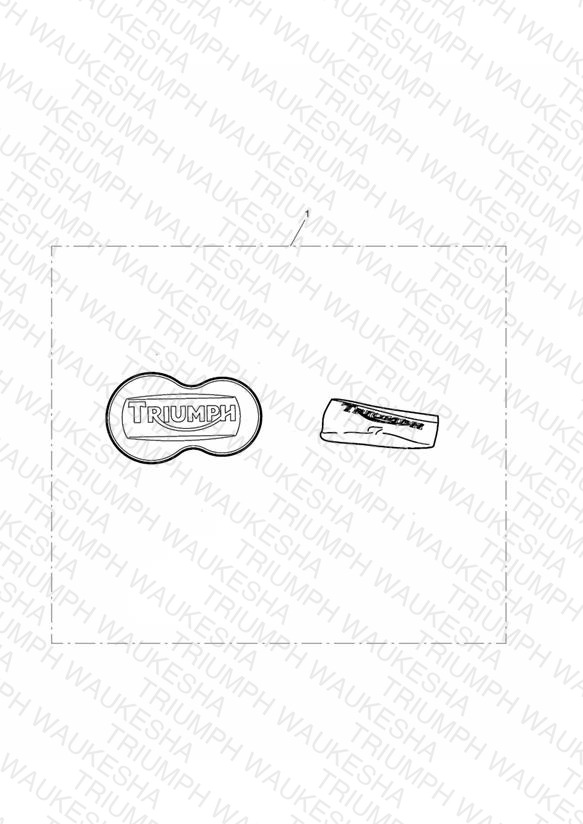 Rear Caliper Cap