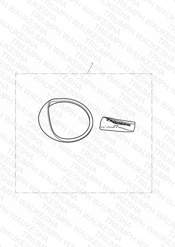 Instrument Visor
