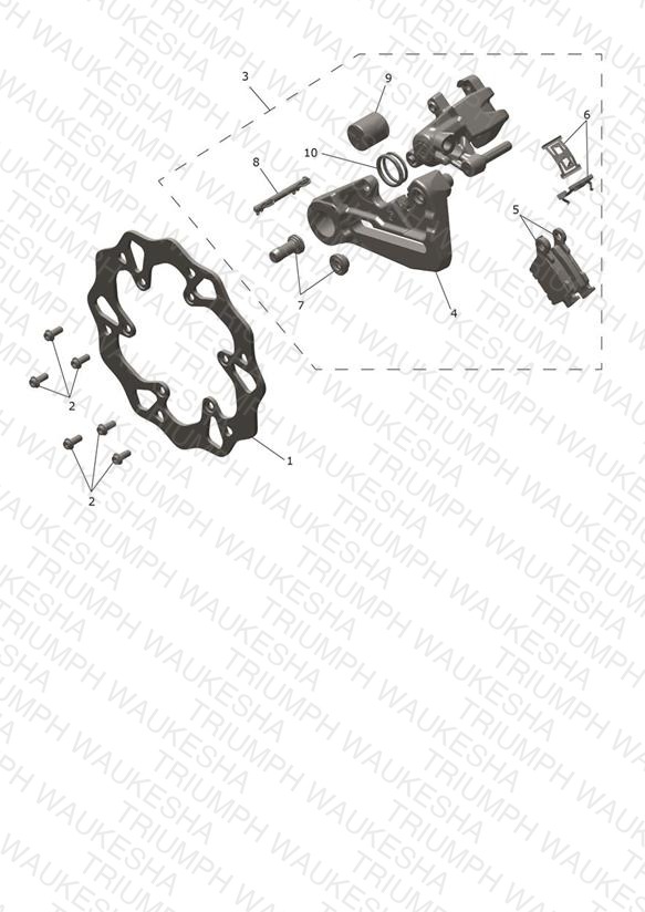 Rear Caliper & Discs