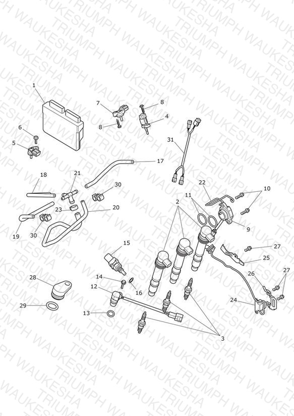 Engine Management System