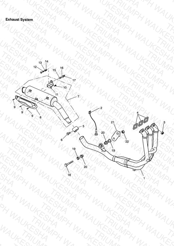 Exhaust System