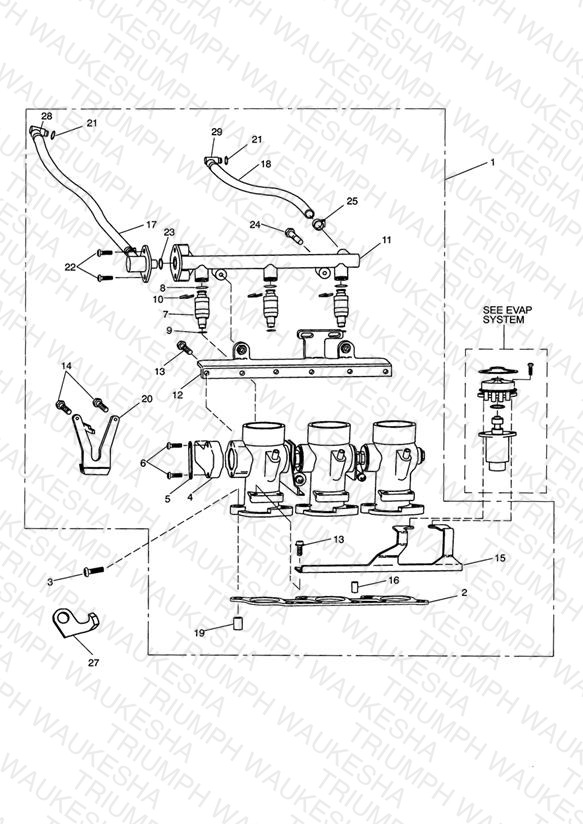 Throttles/Injectors and Fuel Rail