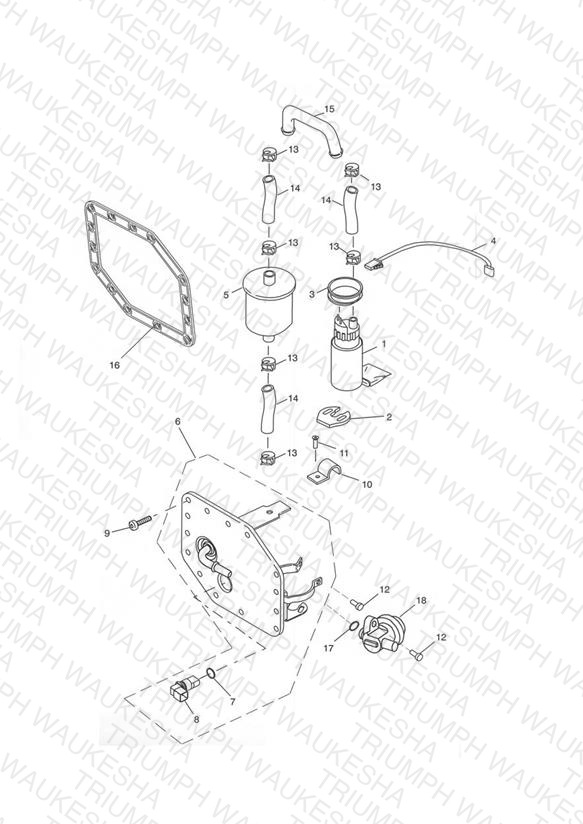 Fuel Pump and Filters 207555 >