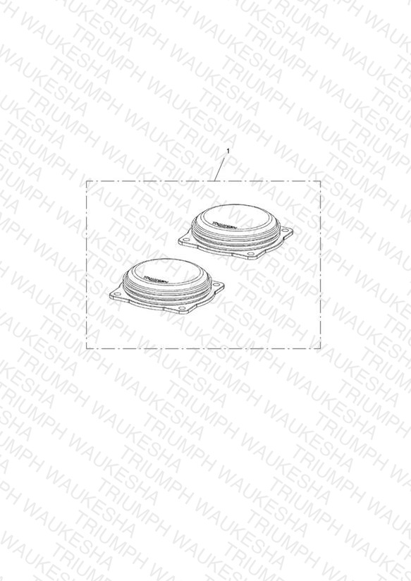 Throttle Body Cap