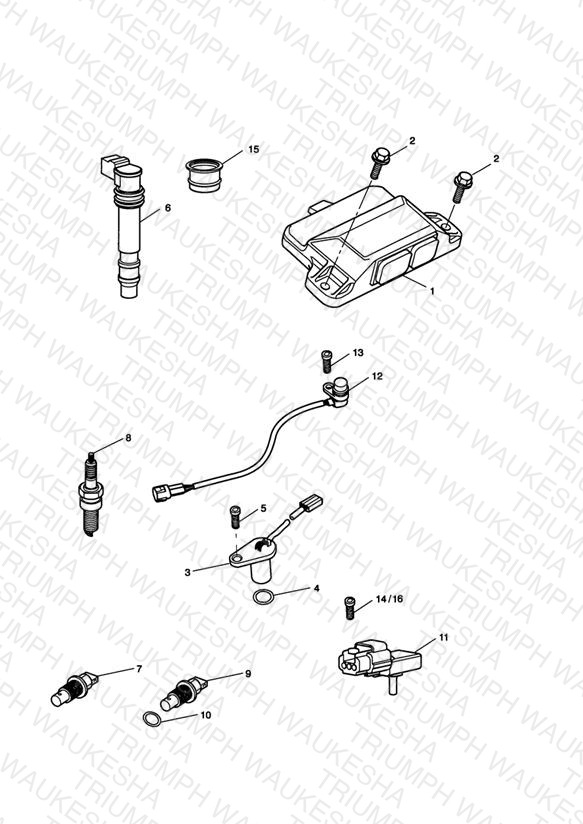 Engine Management System