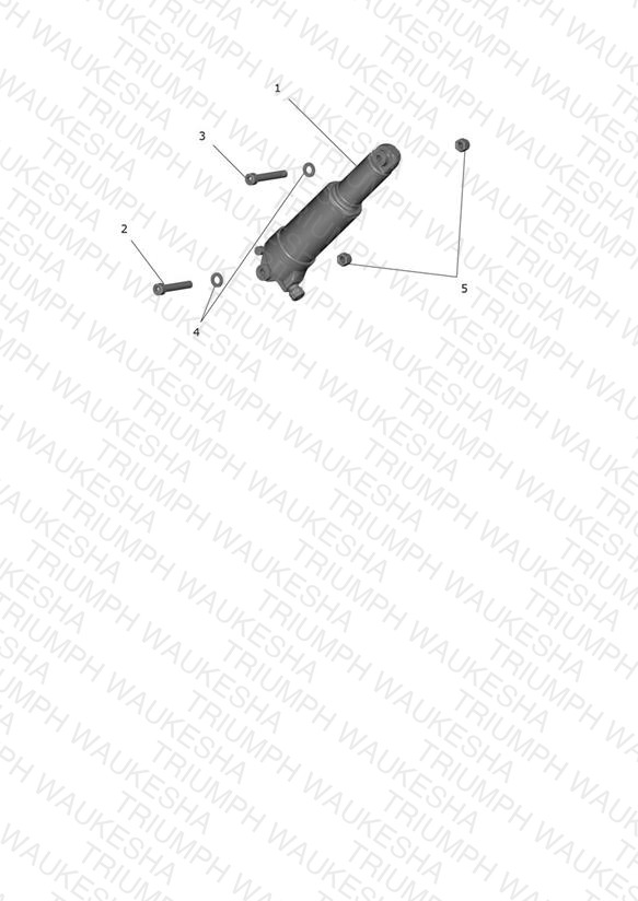 Rear Suspension Unit