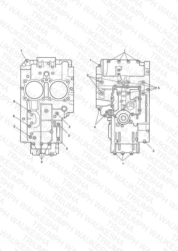 CrankCase Bolts