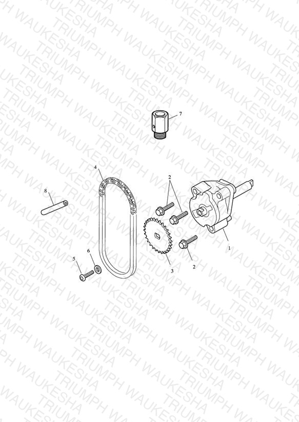 Oil Pump & Drive