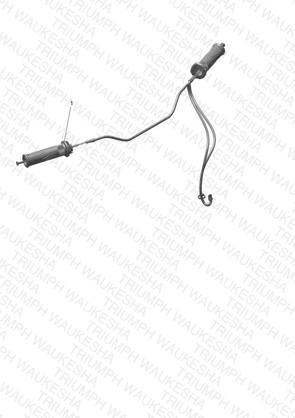 Heated Grip Kit