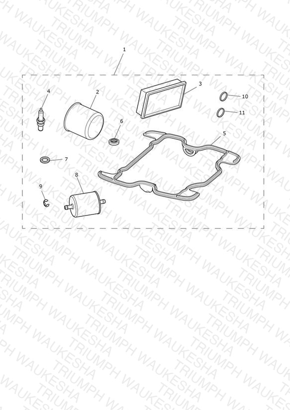 Engine Service Kit
