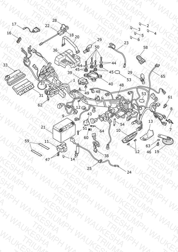 Electrical System