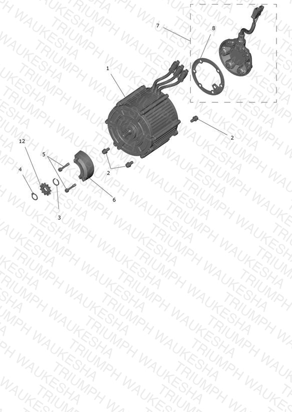 Motor