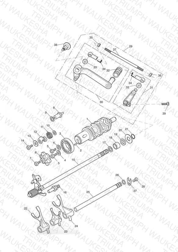 Gear Selectors and Pedal - Daytona 650