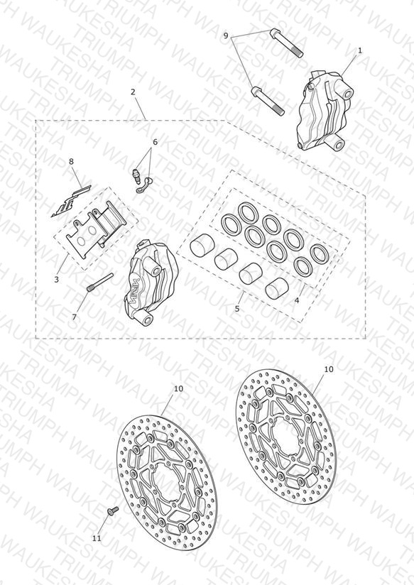 Front Brake Caliper & Discs