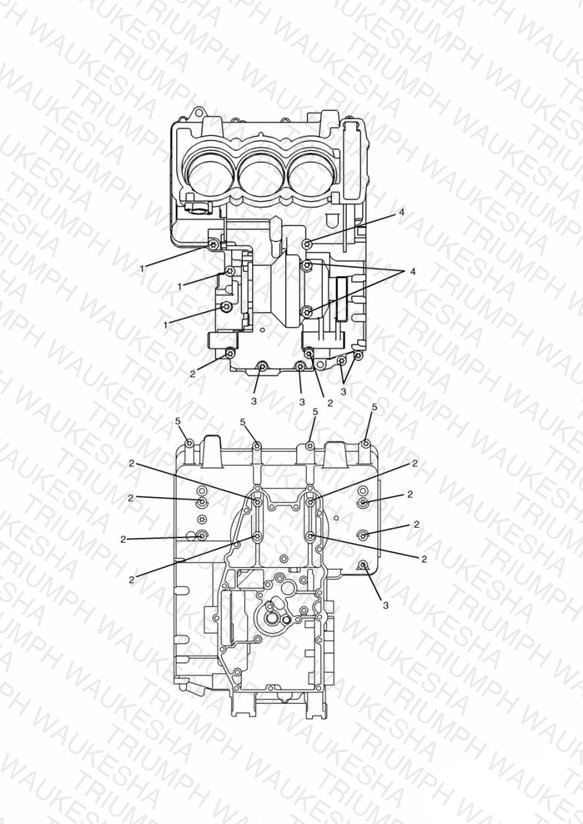 Crankcase Bolts