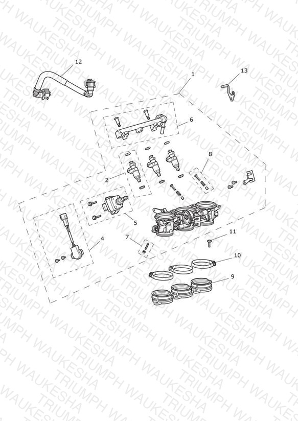 Throttles, Injectors and Fuel Rail