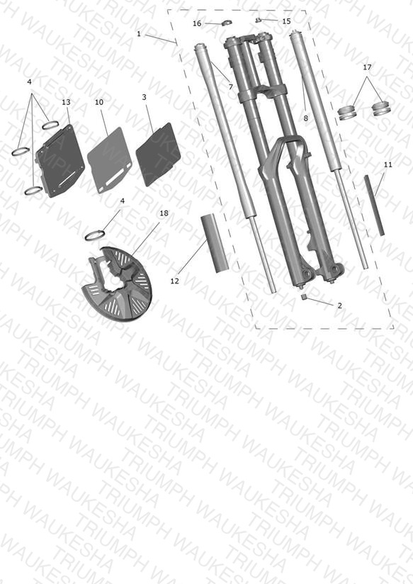 Front Forks & Lower Yoke