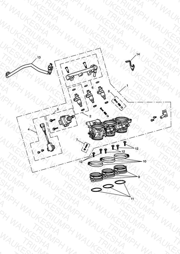 Throttles, Injectors and Fuel Rail
