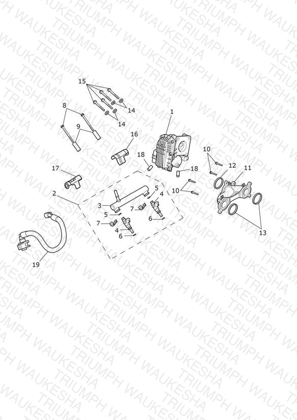 Throttle Bodies
