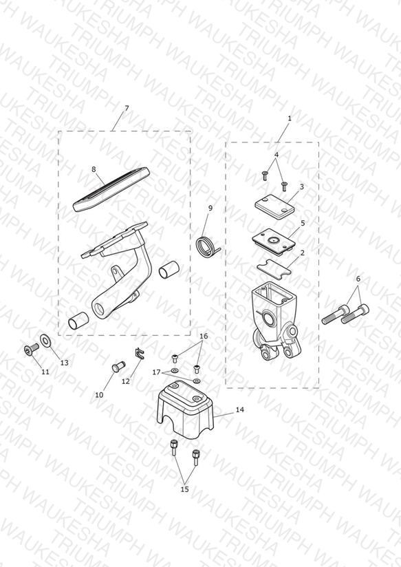 Rear Brake Master Cylinder, Reservoir & Pedal
