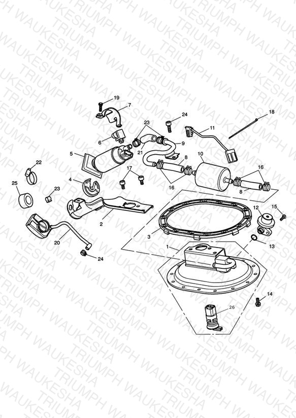 Fuel Pump & Fittings