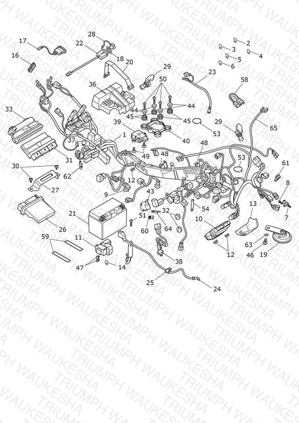 Electrical System