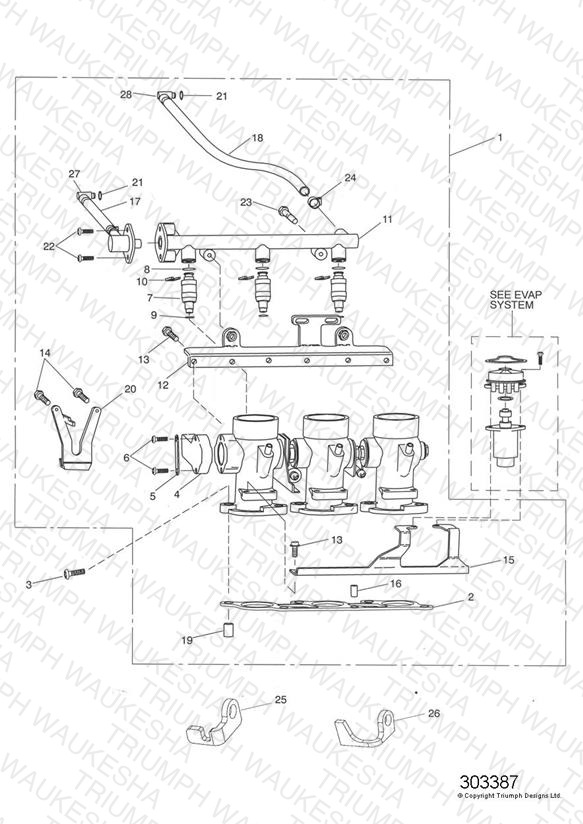 Throttles/Injectors and Fuel Rail