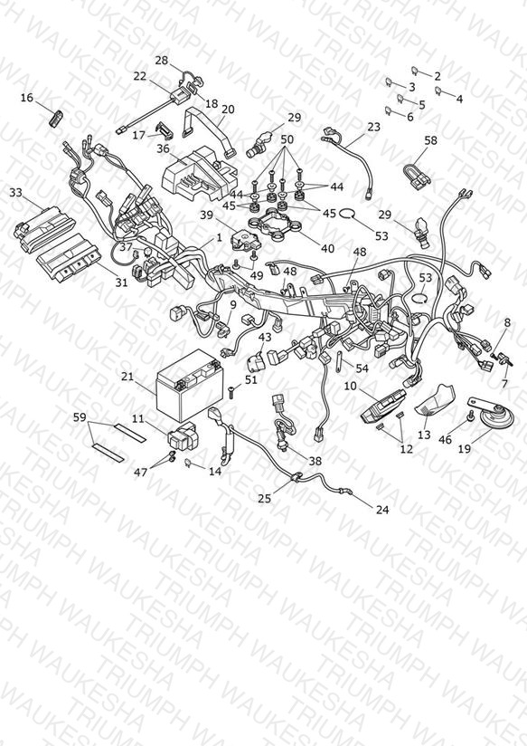 Electrical System