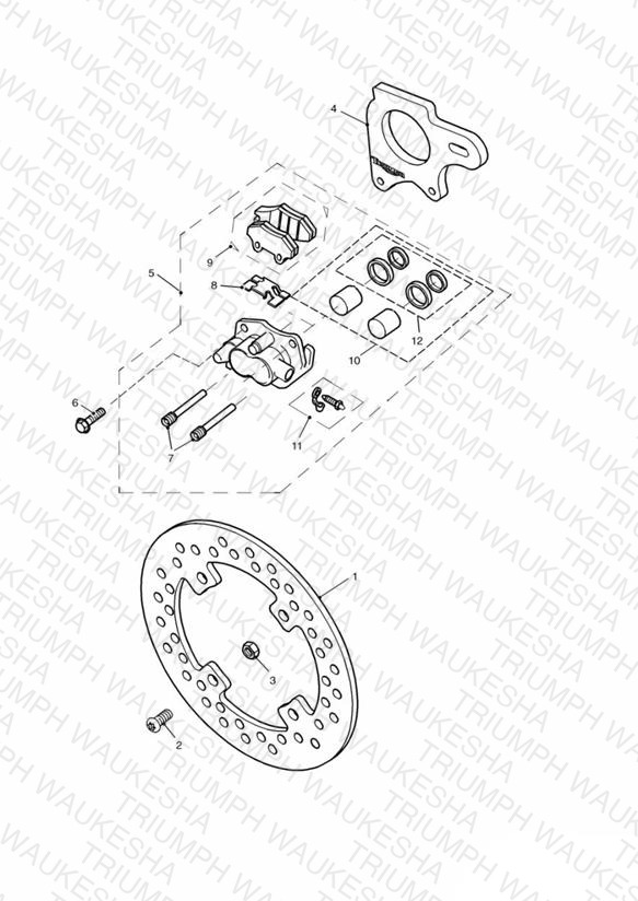 Rear Brake Disc and Caliper