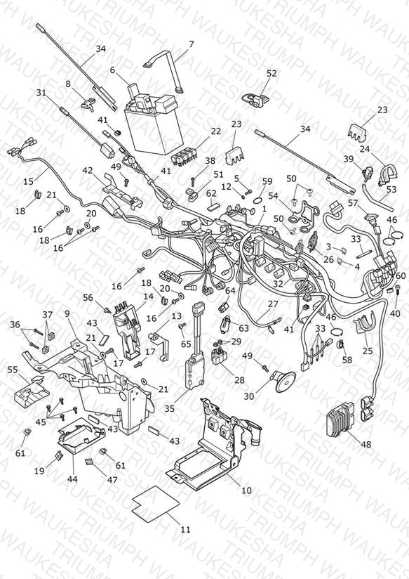 Electrical System