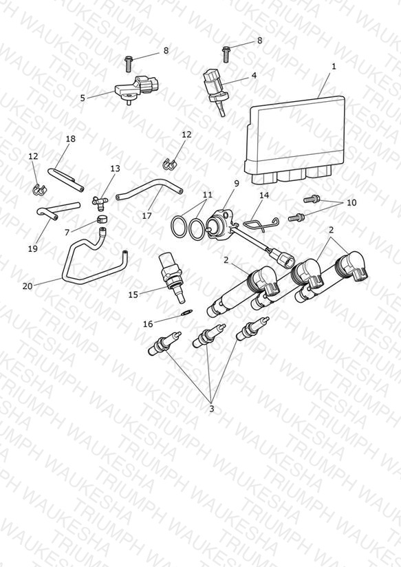 Engine Management System
