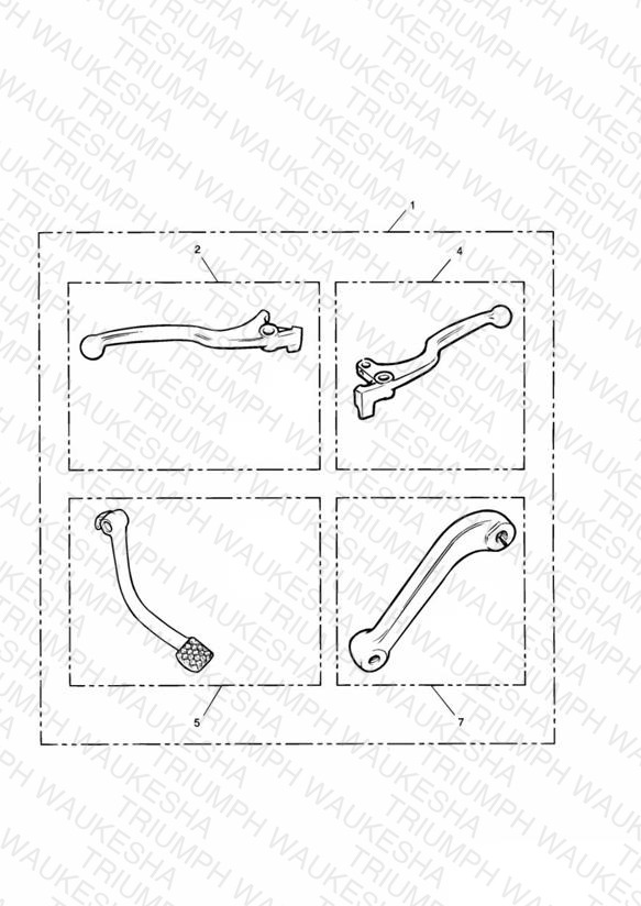 Chrome Levers