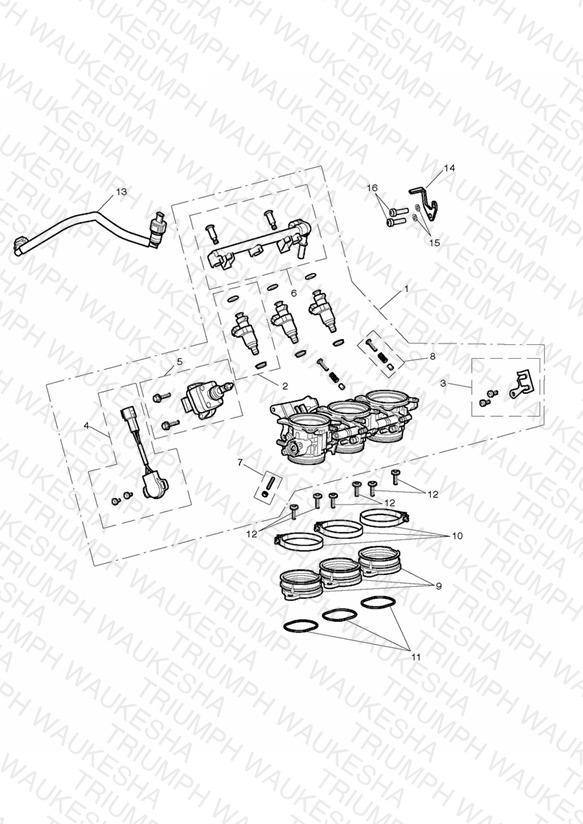 Throttles, Injectors and Fuel Rail