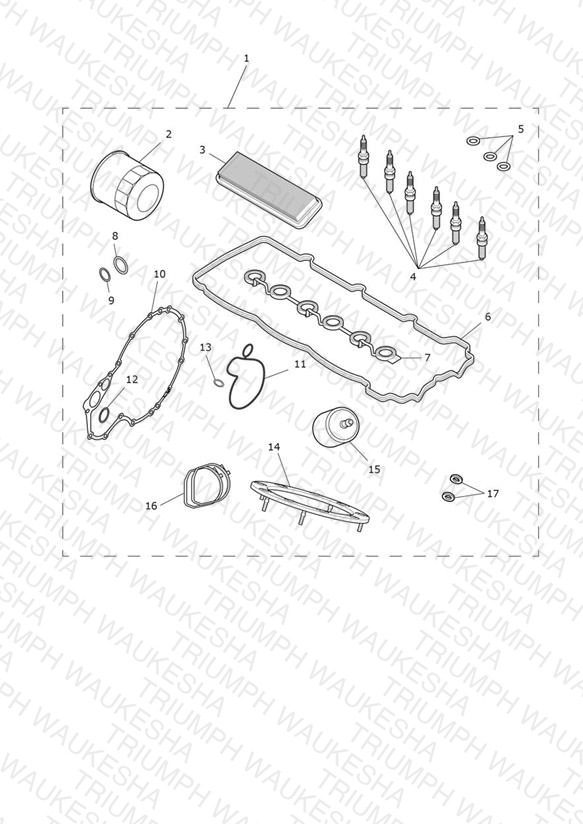 Engine Service Kits