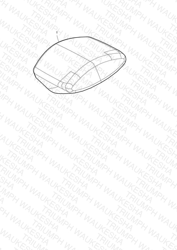 Rider Infill, Sport