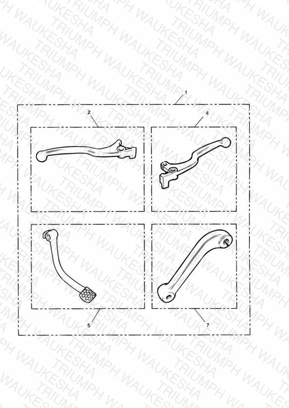 Chrome Levers