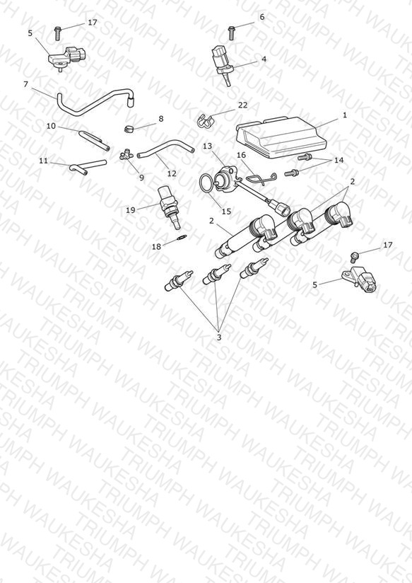 Engine Management System
