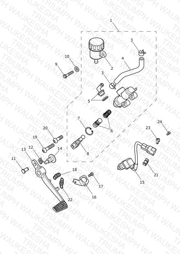 Rear Brake Master Cylinder, Reservoir & Pedal