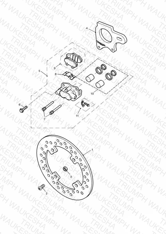 Rear Brake Disc and Caliper