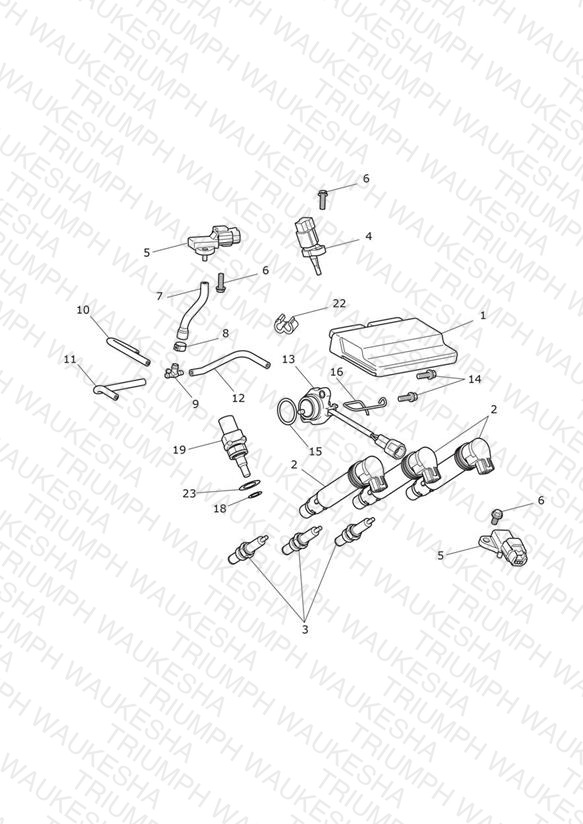 Engine Management System