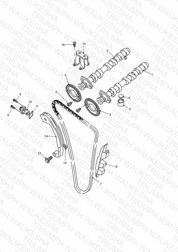 Camshaft and Drive