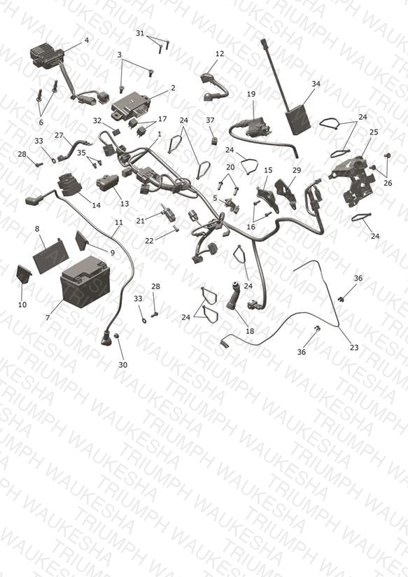 Electrical System