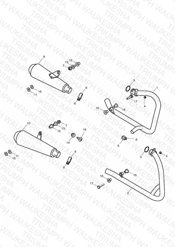 Exhaust System