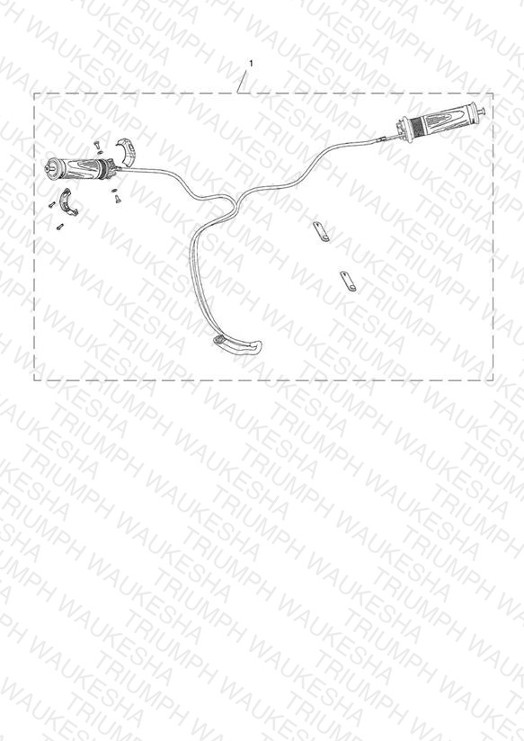 Heated Grip Kit