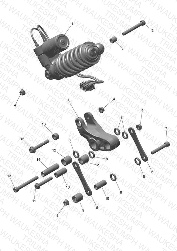 RSU & Linkage