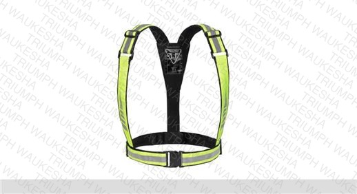 Bright Brace