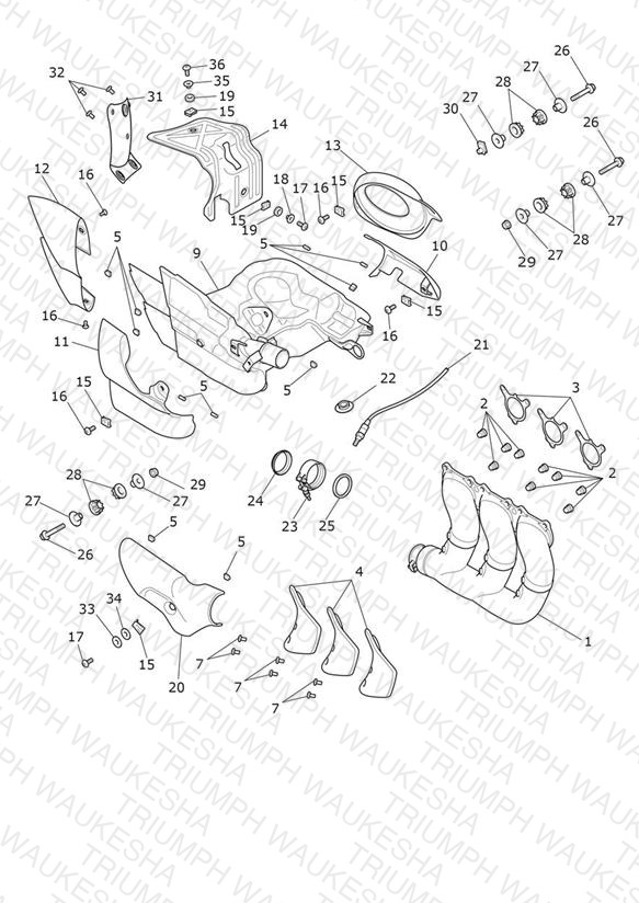 Exhaust System