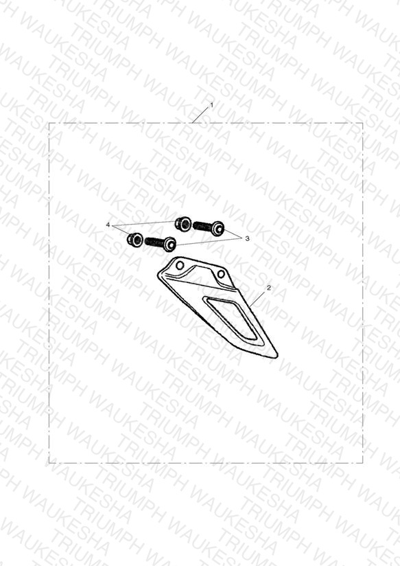 Low Chain Guard, Carbon Fibre
