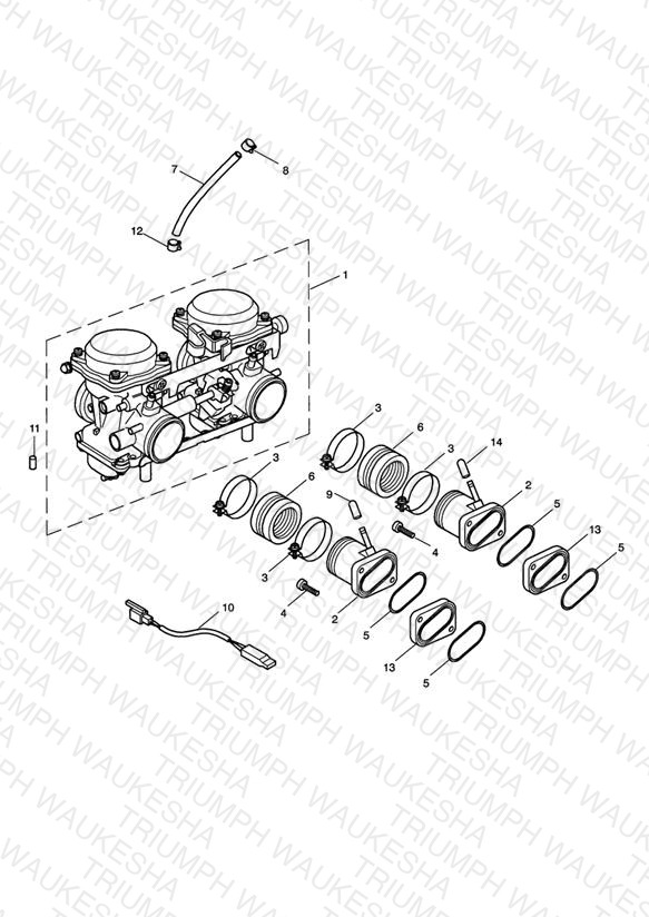 Carburettors - Bonneville T100